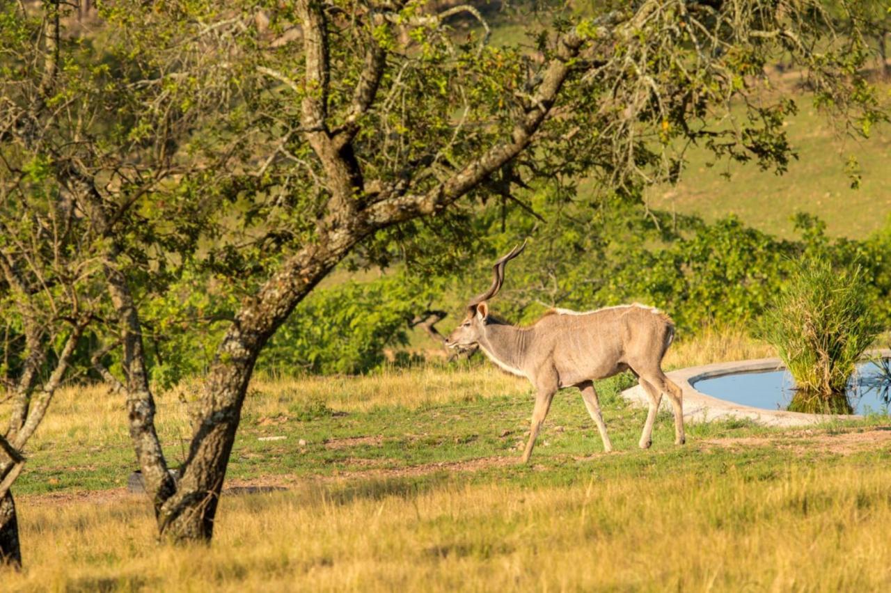 @Nature Luxury Cottages Mbombela Exteriér fotografie