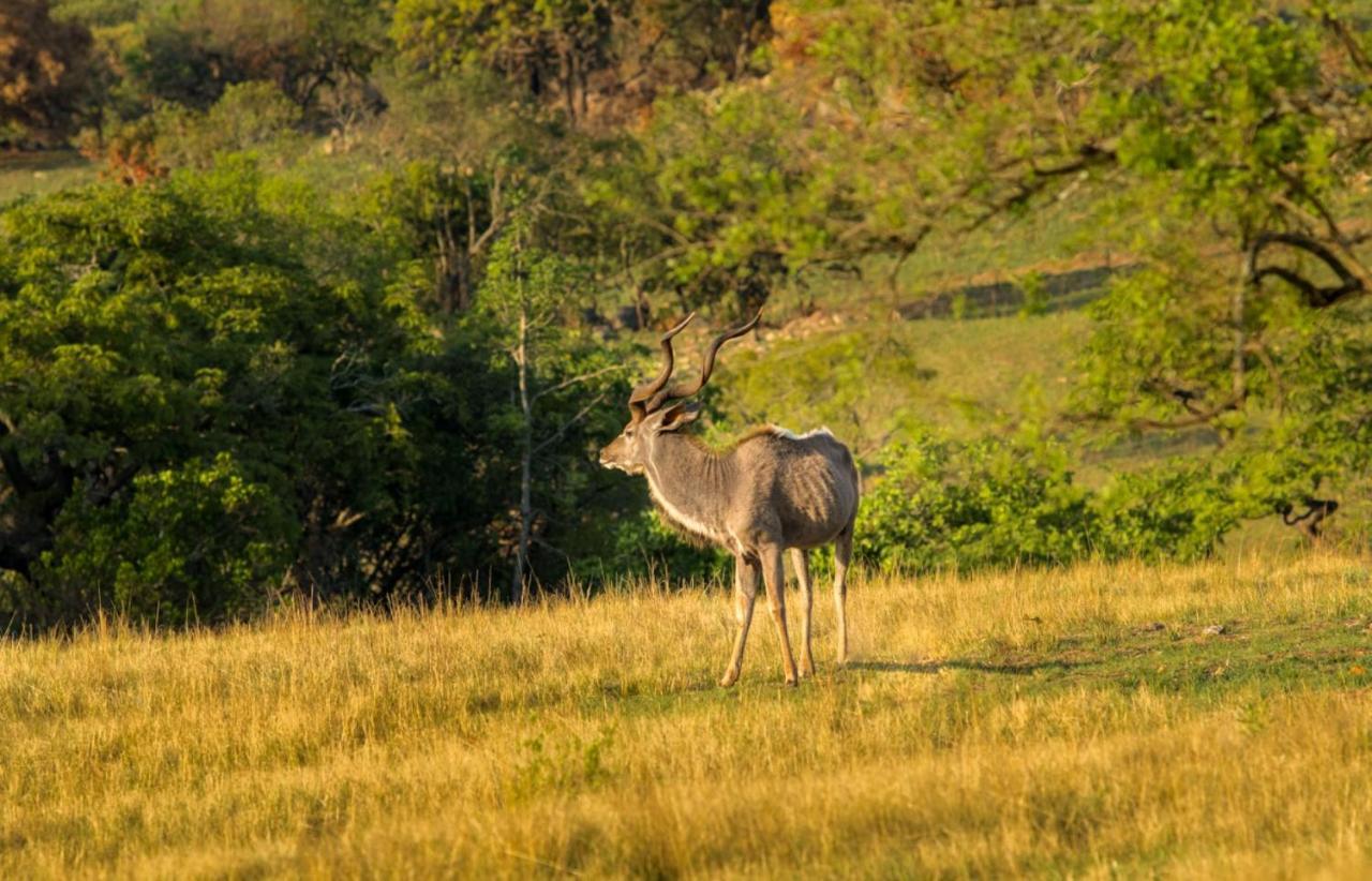 @Nature Luxury Cottages Mbombela Exteriér fotografie