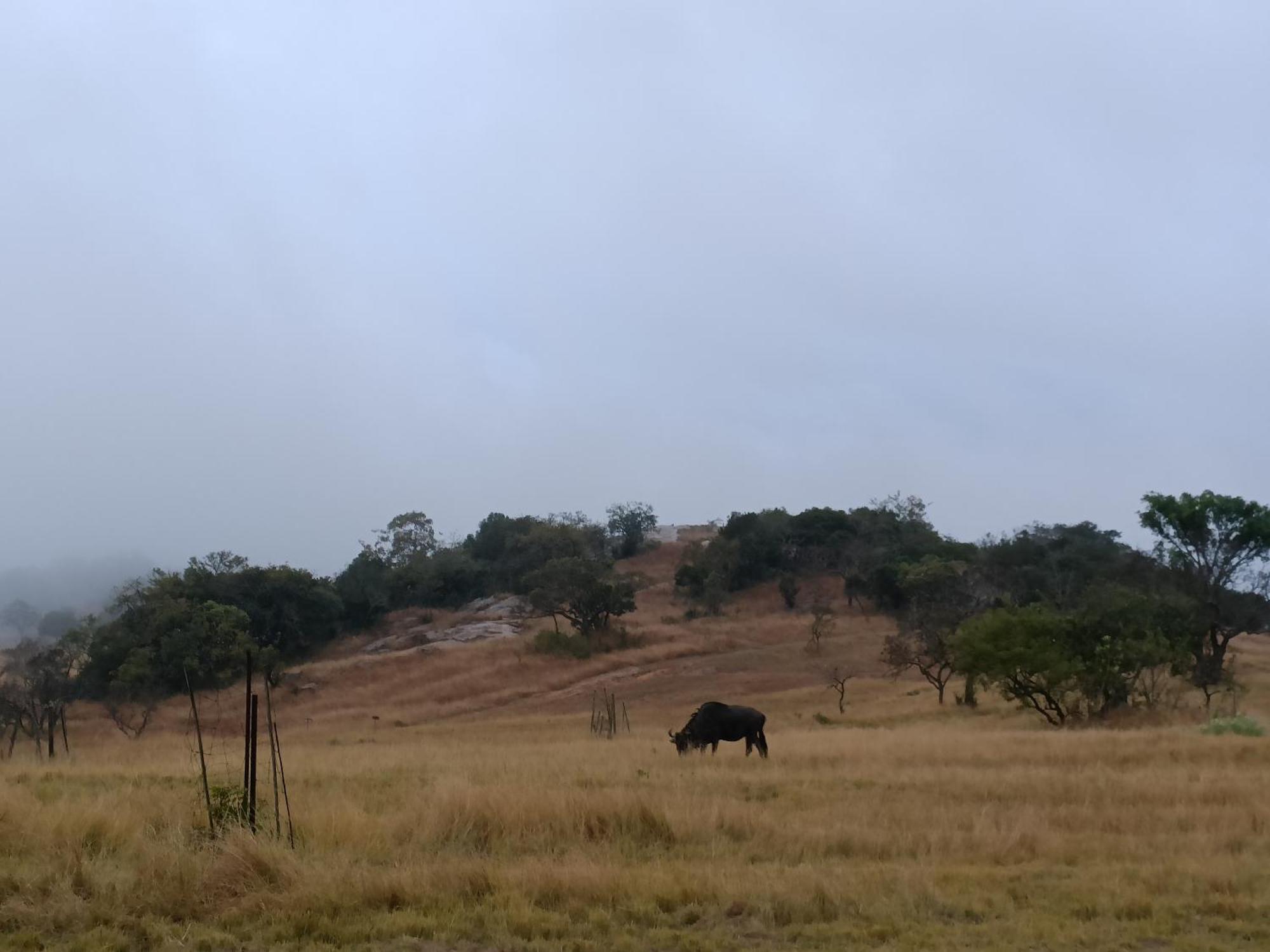 @Nature Luxury Cottages Mbombela Exteriér fotografie