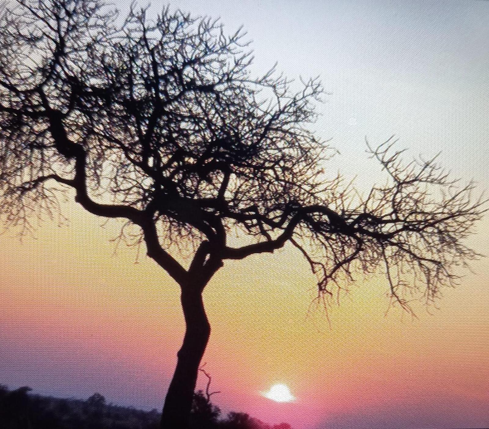 @Nature Luxury Cottages Mbombela Exteriér fotografie