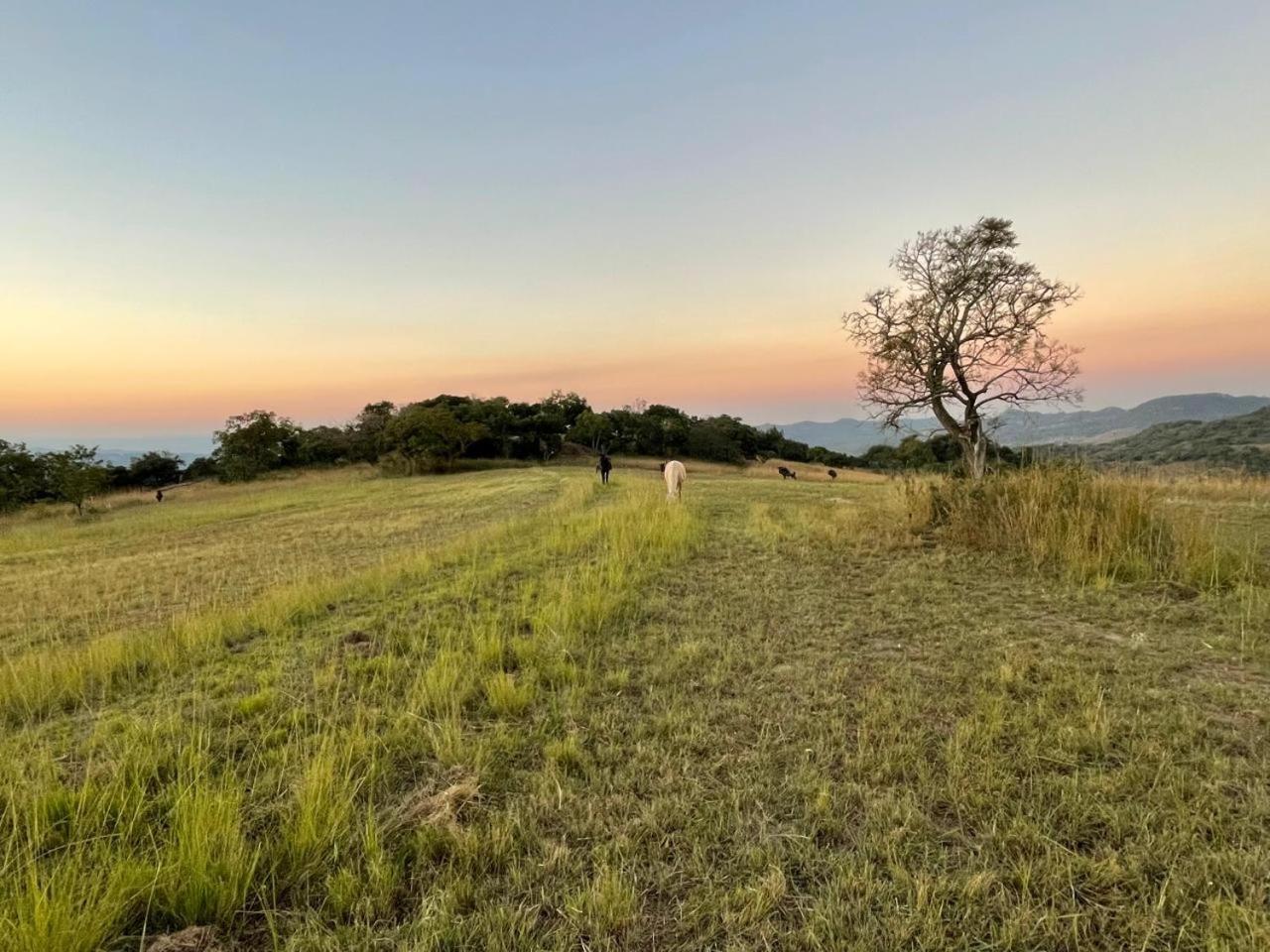 @Nature Luxury Cottages Mbombela Exteriér fotografie