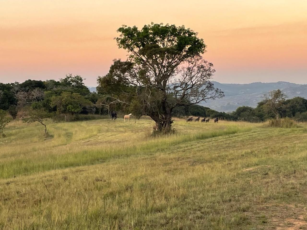 @Nature Luxury Cottages Mbombela Exteriér fotografie