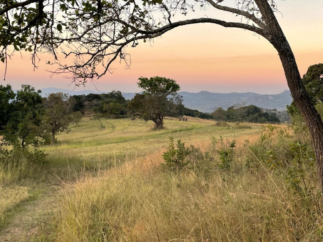@Nature Luxury Cottages Mbombela Exteriér fotografie