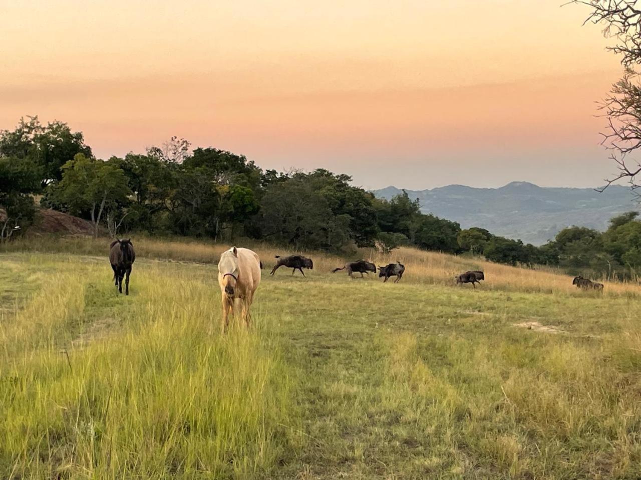 @Nature Luxury Cottages Mbombela Exteriér fotografie