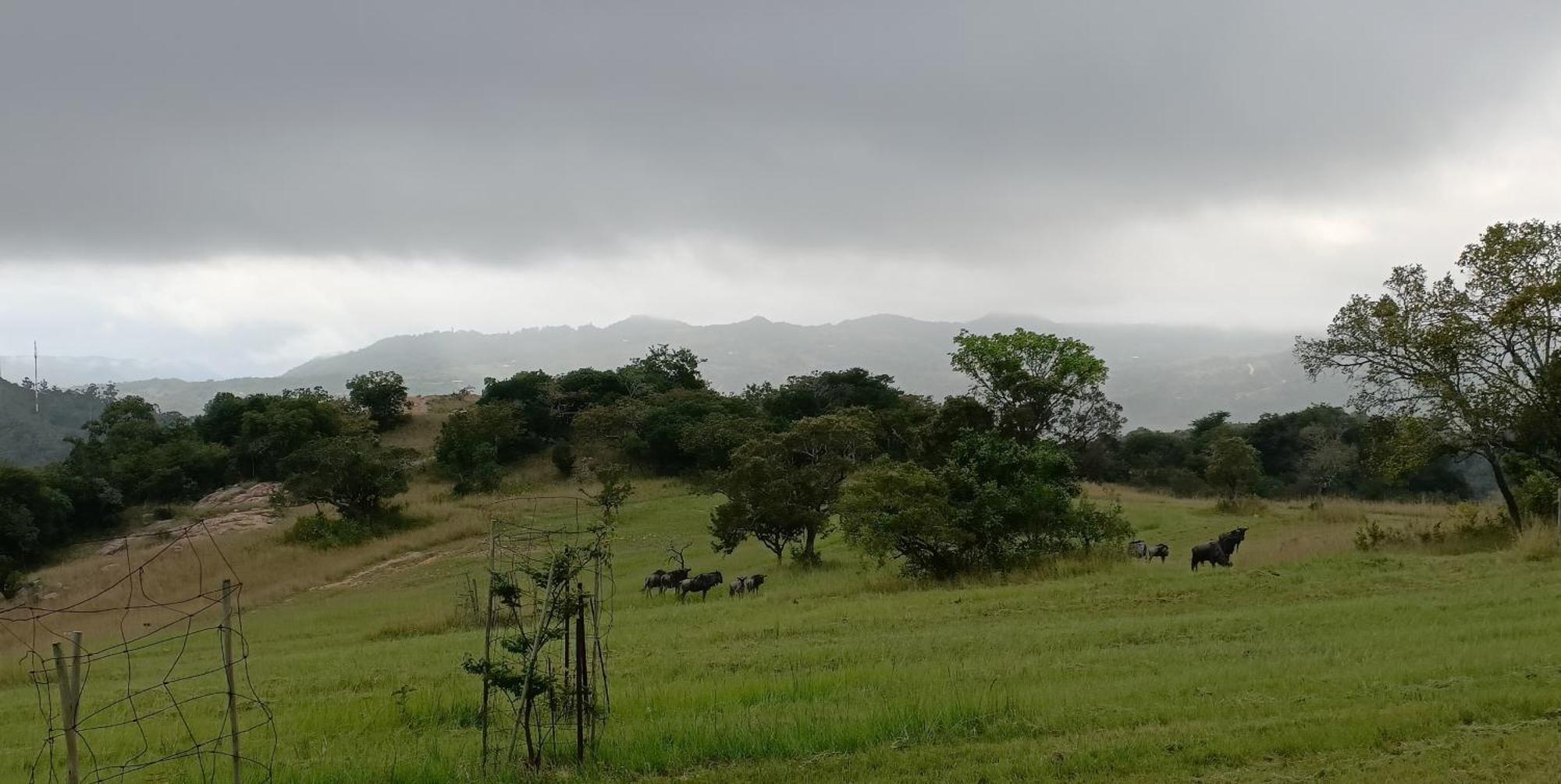 @Nature Luxury Cottages Mbombela Exteriér fotografie
