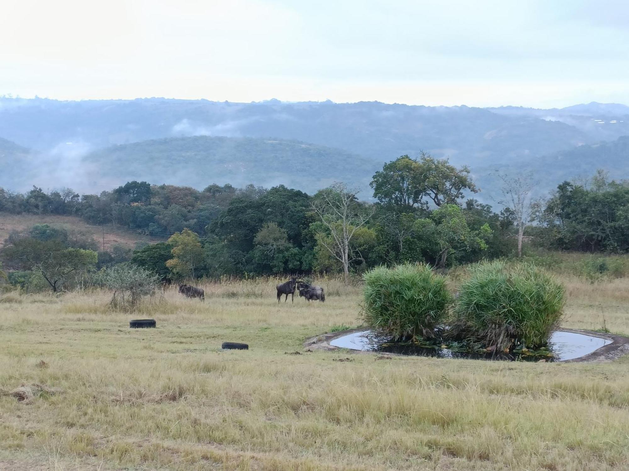 @Nature Luxury Cottages Mbombela Exteriér fotografie