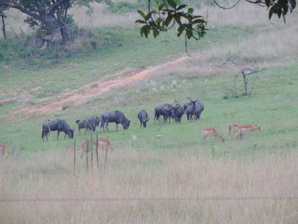 @Nature Luxury Cottages Mbombela Exteriér fotografie