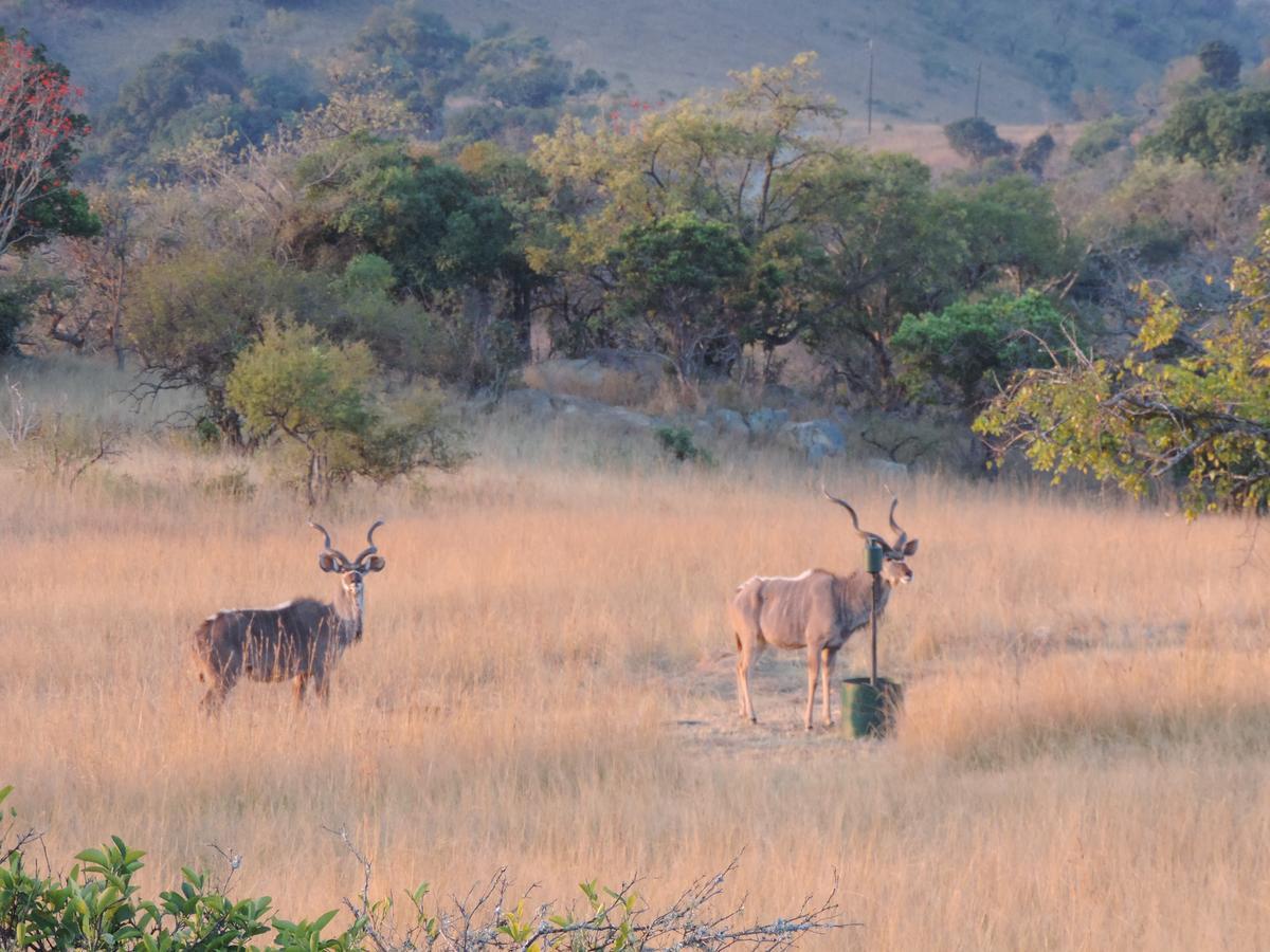 @Nature Luxury Cottages Mbombela Exteriér fotografie