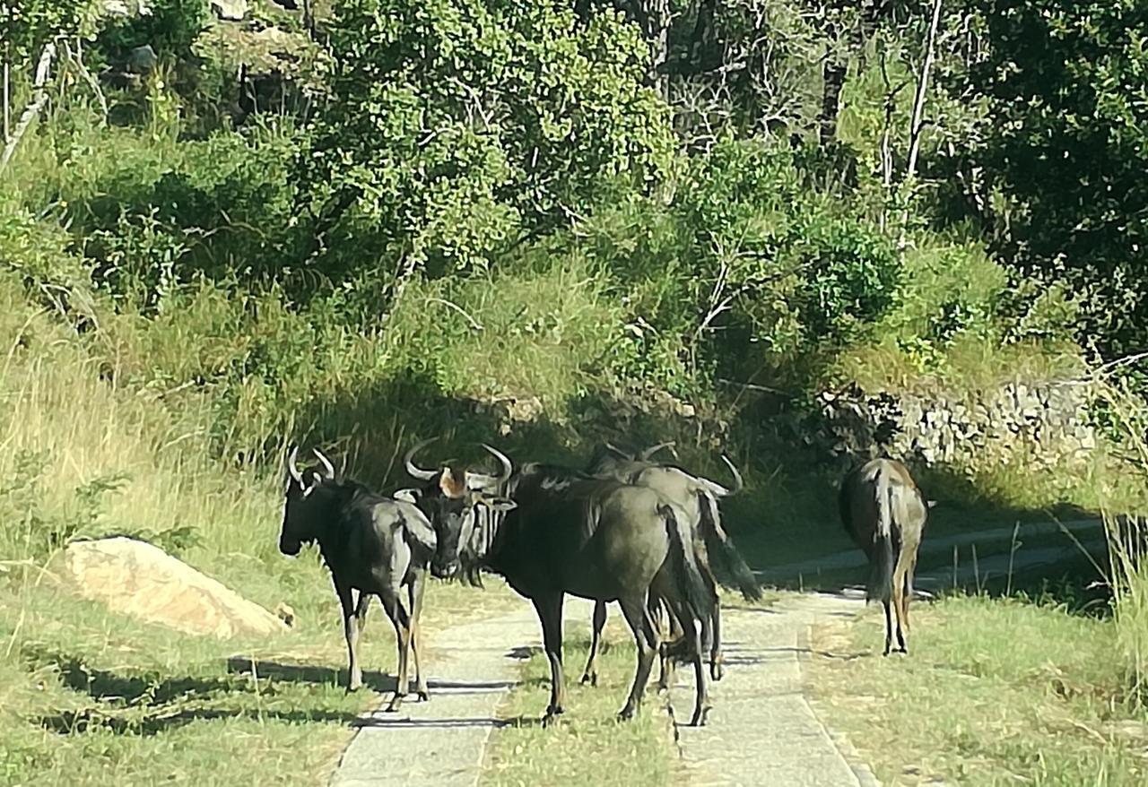 @Nature Luxury Cottages Mbombela Exteriér fotografie