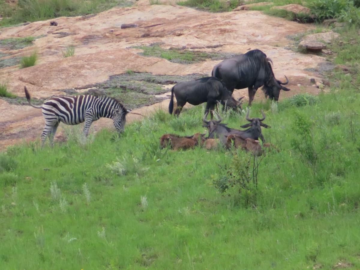 @Nature Luxury Cottages Mbombela Exteriér fotografie