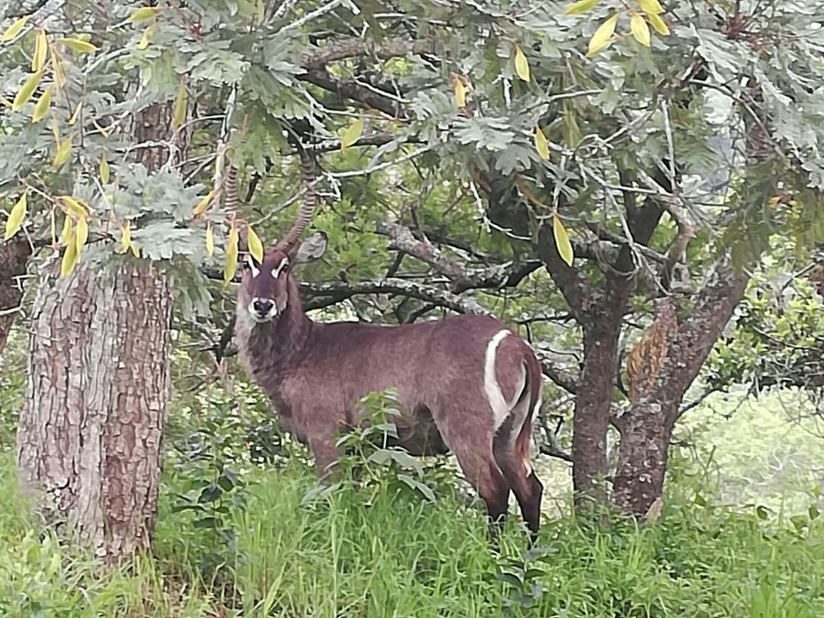 @Nature Luxury Cottages Mbombela Exteriér fotografie