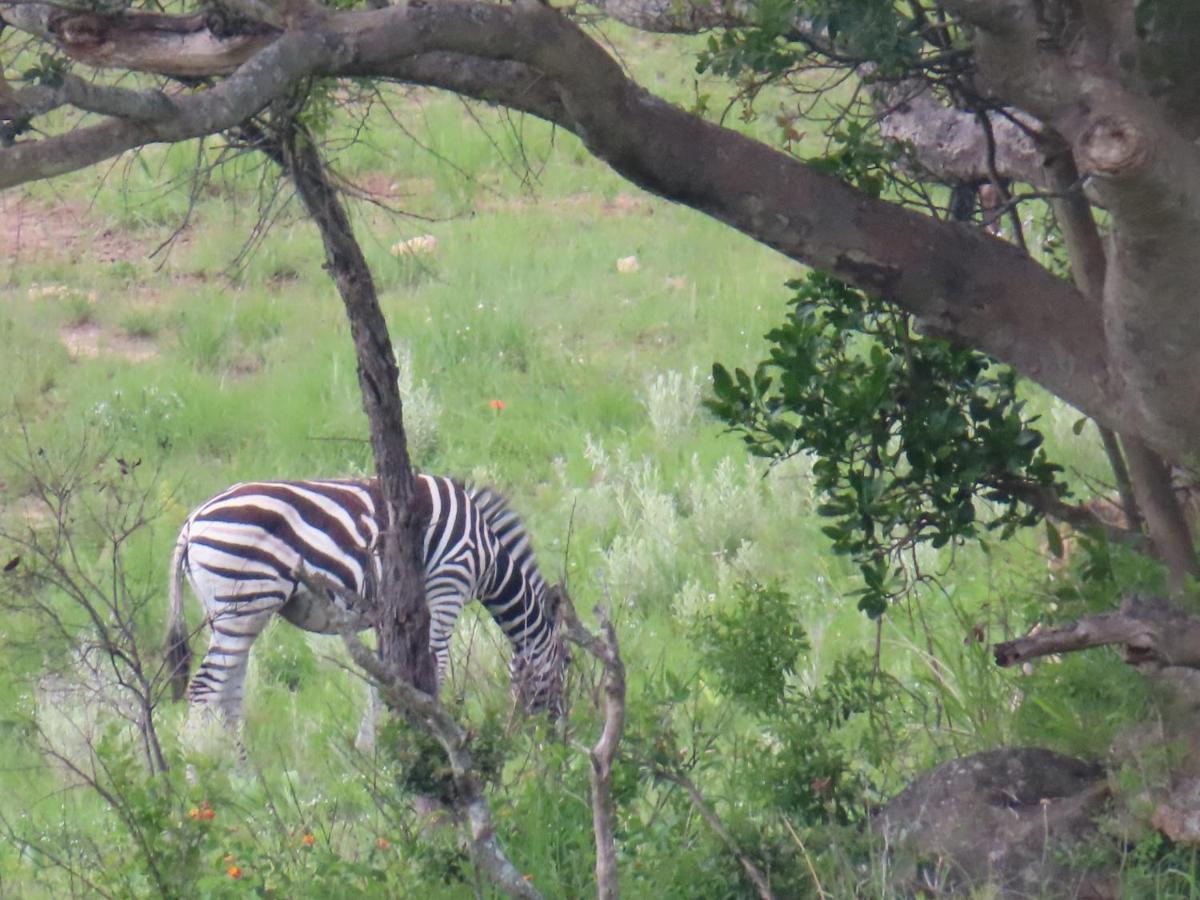 @Nature Luxury Cottages Mbombela Exteriér fotografie