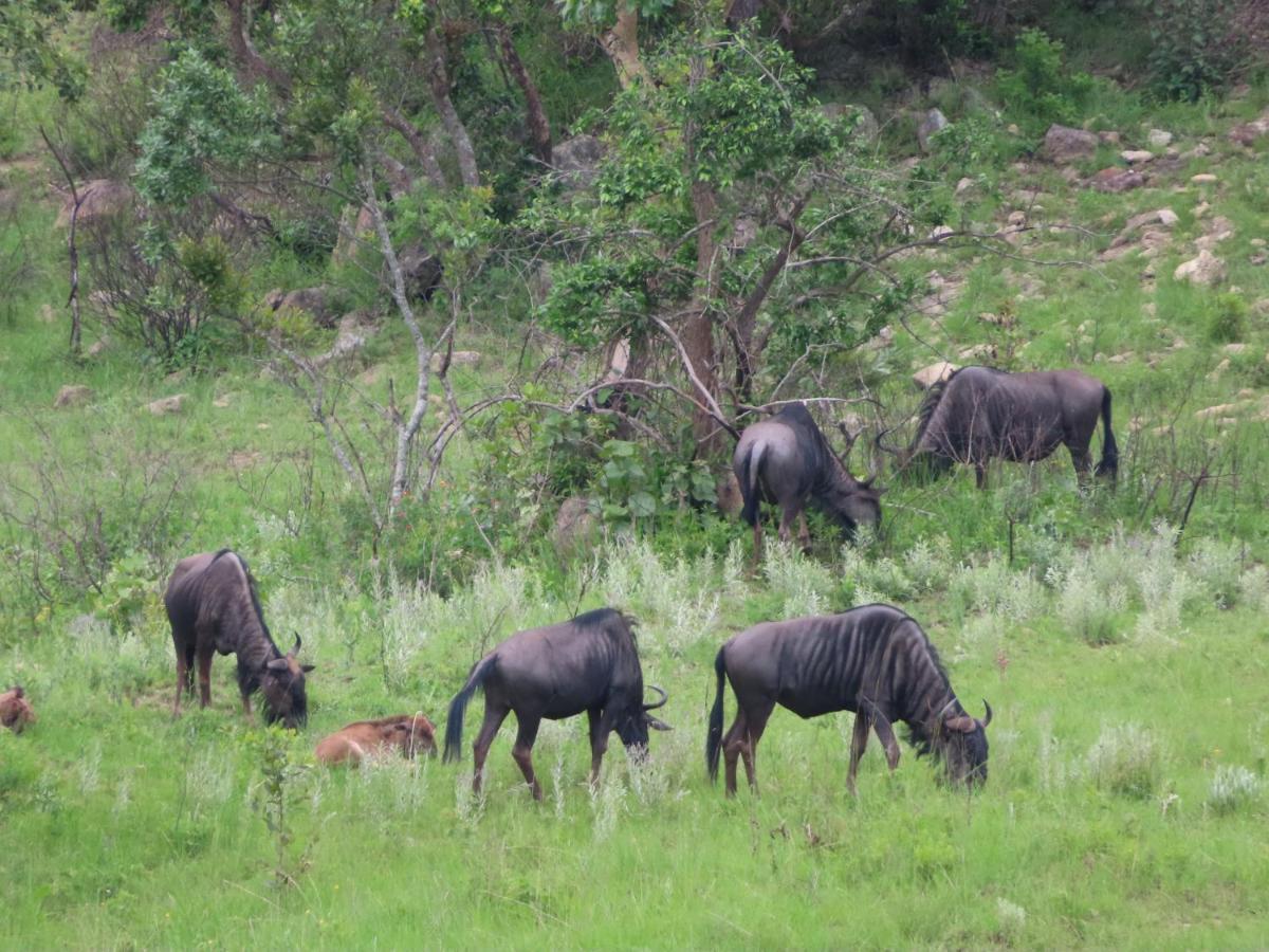 @Nature Luxury Cottages Mbombela Exteriér fotografie
