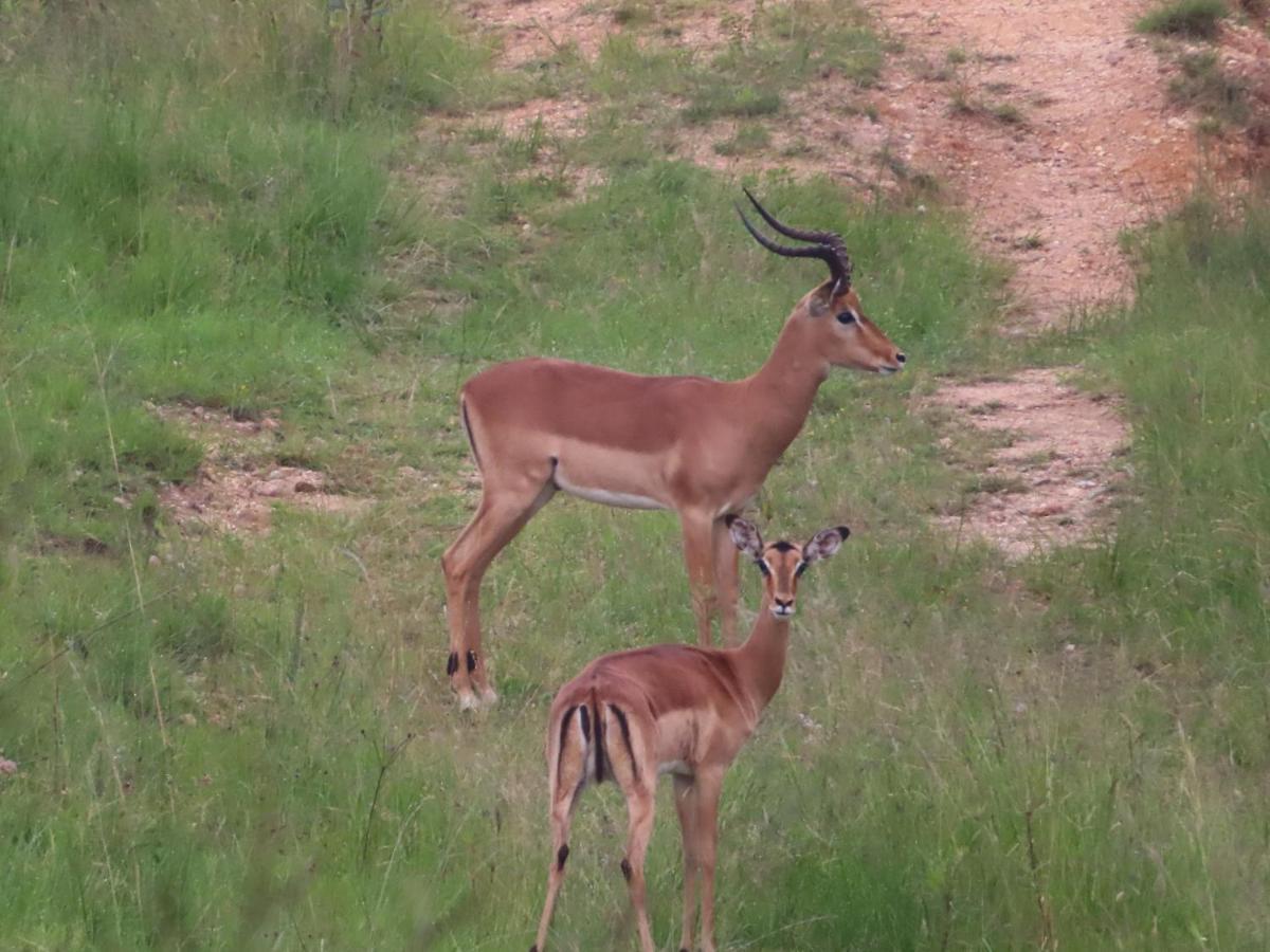 @Nature Luxury Cottages Mbombela Exteriér fotografie